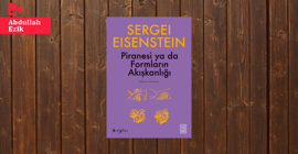Formların Akışkanlığı: Sergey M. Eisenstein’den Piranesi’ye Bakışlar