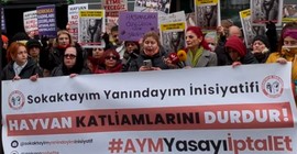 ‘Nejla Teyze’ için adalet talebi: ‘Hayvanlara yönelik nefret toplumsal sorun haline geldi’