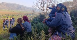 Çayırlı'da asker korumasında ağaç kesimi