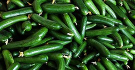 Salatalık kabukları neden çöpe atılmamalı? 5 müthiş faydası