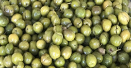 Zeytinin Acısını Almanın Sırrı: Evde Kendi Zeytininizi Tatlandırın!