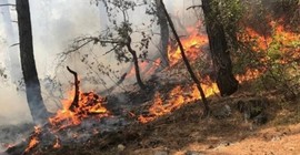 Antalya'da iki bölgede orman yangını