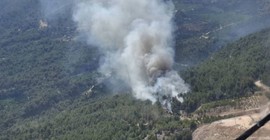 Sakarya ve Manisa'daki orman yangınlarında 17 gözaltı