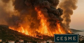 Çeşme'de binlerce hektarlık ormanlık alan kül oldu