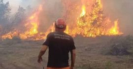 4 kentte orman yangını: 10 kişinin öldüğü Eskişehir yangını hâlâ söndürülemedi