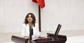 Meclis'te Gazze toplantısı... DEM Partili Koçyiğit: Filistin sorunu bir sömürgecilik sorunudur