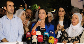 Hatimoğulları Diyarbakır'da konuştu: Sürece özel yasa çıkarılmalı