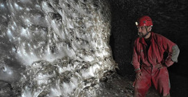 Dünyanın en büyük örümcek ağı keşfedildi: 111 bin örümcek yaşıyor