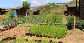 AKP'den yeni kanun teklifi: Hobi bahçelerine ceza ve yeni içki yasakları geliyor