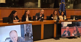 Bağımsız Hukuk Misyonu, AP’de ‘süreç’ raporunu açıkladı: Öcalan'ın koşullarının gözden geçirilmesi tavsiye edildi