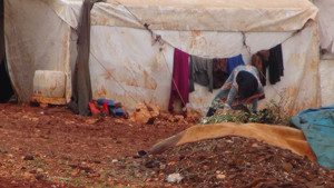 Dünya Rojava'ya yabancı - Resim : 2