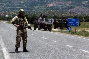 Soylu'nun denetiminde 'Lice operasyonu' - Resim : 1