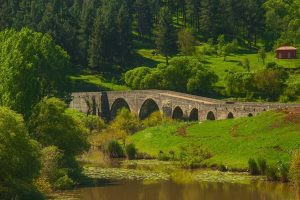 Ağaçsız Hevsel, ayaksız On Gözlü... - Resim : 7