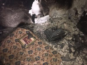 Koruköy'de vahşet: Gebe hayvanların karnını deştiler - Resim : 5