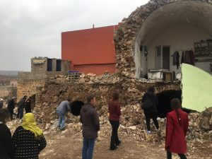 Koruköy'de vahşet: Gebe hayvanların karnını deştiler - Resim : 7