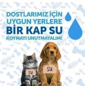 Aşırı sıcaklar geliyor: Mecbur değilseniz dışarı çıkmayın - Resim : 1