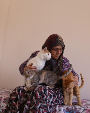 300 kediyi sahiplendirdi, 100 kedinin bakımını yapıyor - Resim : 2