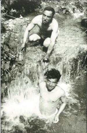 Babamın Kemanı - Resim : 2