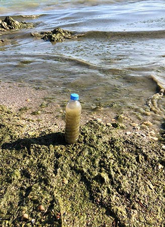 Lağım borusu patladı, Eğirdir Gölü'nü atıklar kapladı - Resim : 1