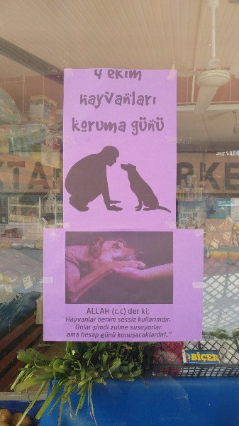 'Onlar bize emanet' - Resim: 20
