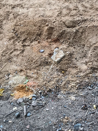 Validebağ'da direnenler kazandı: Üsküdar Belediyesi döktüğü kumu topladı - Resim : 1
