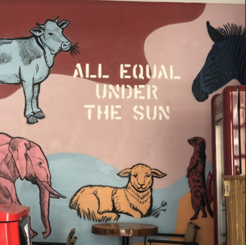 Türkiye'nin ilk vegan kasabı İstanbul'da açıldı - Resim : 1