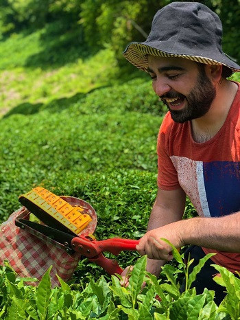Çay üreticisi bu kez yükleme ile mağdur ediliyor - Resim : 1