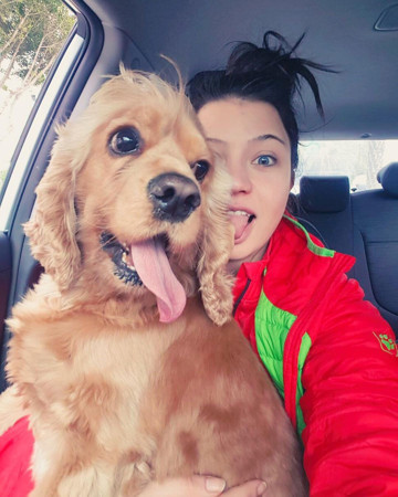 Tasmasız dolaştırılan pitbull, saldırdığı köpeği öldürdü - Resim : 1