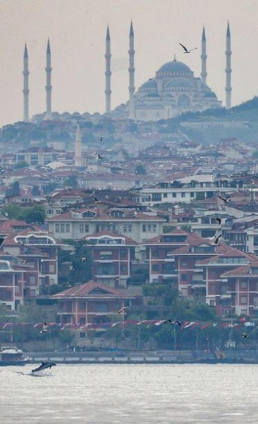 Yunuslar boğazda şov yaptı - Resim: 13