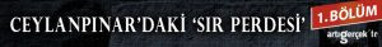 En güçlü delil sarı kırmızı yeşil şallar - Resim : 3
