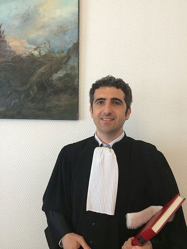 AİHM hukukçusu: Demirtaş ve Kavala kararları uygulanmalı - Resim : 1