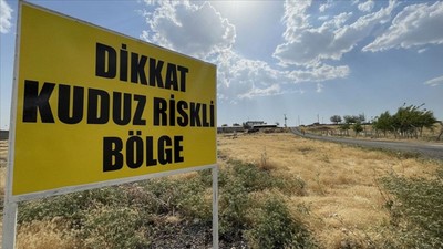 Hatay'da bir mahalle kuduz nedeniyle karantinaya alındı