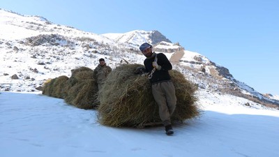 Hayvanları için topladıkları otları dağdan kızaklarla indiriyorlar