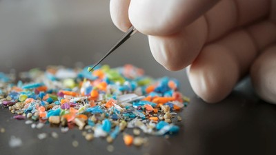 Araştırma: İnsan beynindeki mikroplastik oranı hızla artıyor