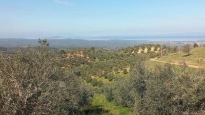 İvrindi'de maden tehdidi: Köylülerden yaylayı boşaltmaları istendi