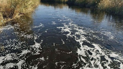 Büyük Menderes Nehri kirlilik nedeniyle siyaha büründü