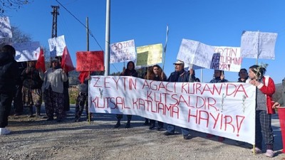 Çayırlılar ağaç kıyımına karşı eylemde: Nefesimizi kesmeyin