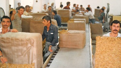 İzmir'de tütün fabrikası işçileri greve gidiyor