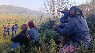 Çayırlı'da asker korumasında ağaç kesimi