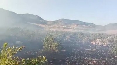 Diyarbakır’da ormanlık alanda yangın çıktı