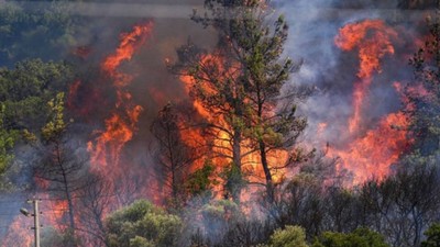 Birçok bölgede orman yangını: 50 binin üzerinde kişi tahliye edildi