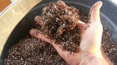 Çiçeklerin çürümesini önlüyor ve canlı tutuyor! Saksıdaki toprağa eklemelisiniz
