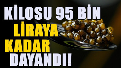 Kilosu 95 bin liradan alıcı buluyor... Amasya'da çokça üretiliyor
