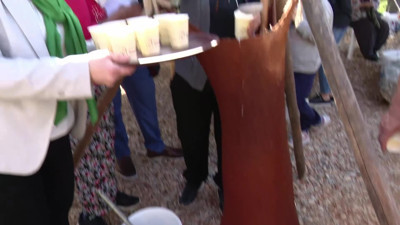 Manavgat’ta “2. Zeytin ve Zeytinyağı Festivali” devam ediyor