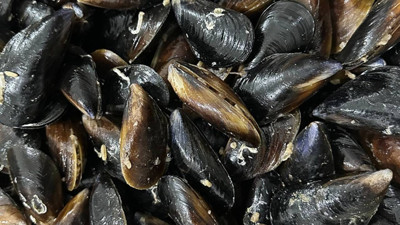 İstanbul'daki zehirlenme: 4 kişi gözaltında, Alman Konsolosluğu takip ediyor