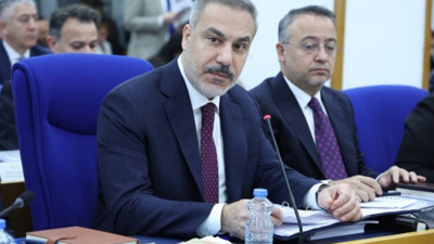 Tanhan'dan Fidan'a: Türkiye'nin Efrin'deki rolü ne?