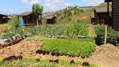 AKP'den yeni kanun teklifi: Hobi bahçelerine ceza ve yeni içki yasakları geliyor