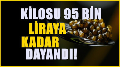 Türkiye’nin Amasya ilinde de yetişiyor! Kilosu 95 bin liradan alıcı buluyor