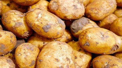 Patates çabuk çürüyorsa bu yöntemi deneyin! Haftalarca sağlam kalmasına yardımcı oluyor