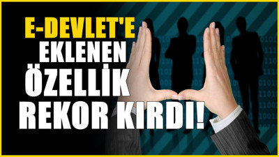 Eklenen Özellik E-devlet'te rekor kırdı